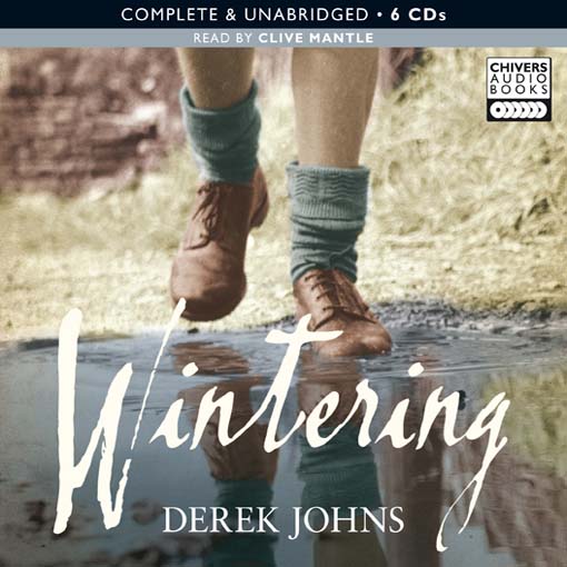 Cover image for Wintering